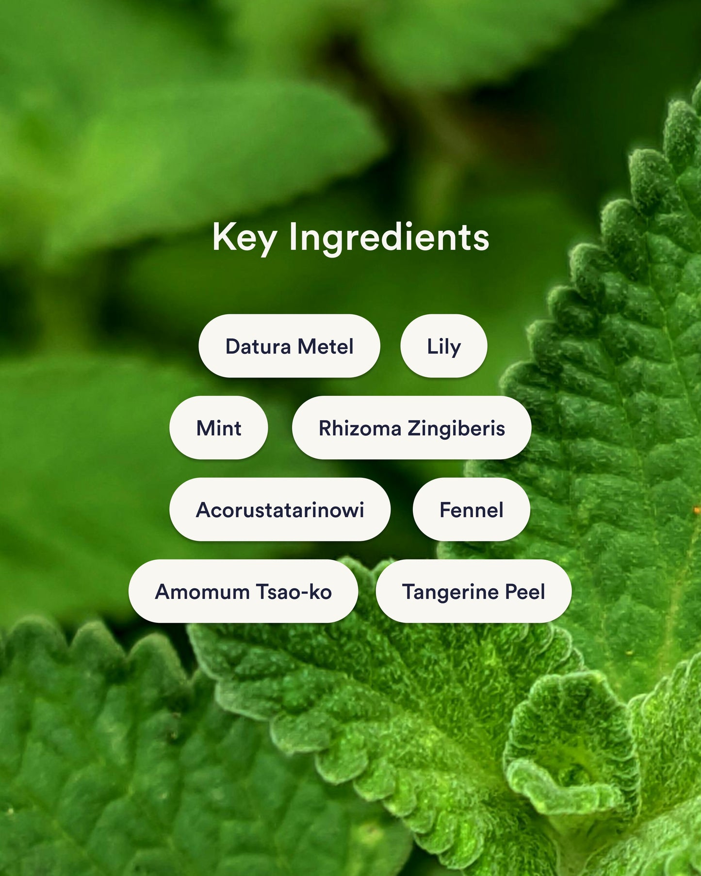 Anti-Motion Sickness Patches