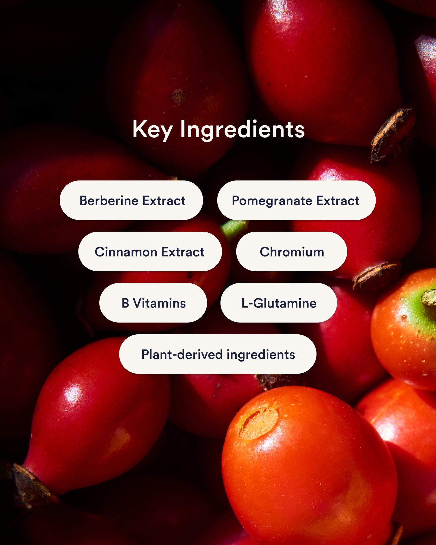 Berberine Patches (Upgraded GLP-1)