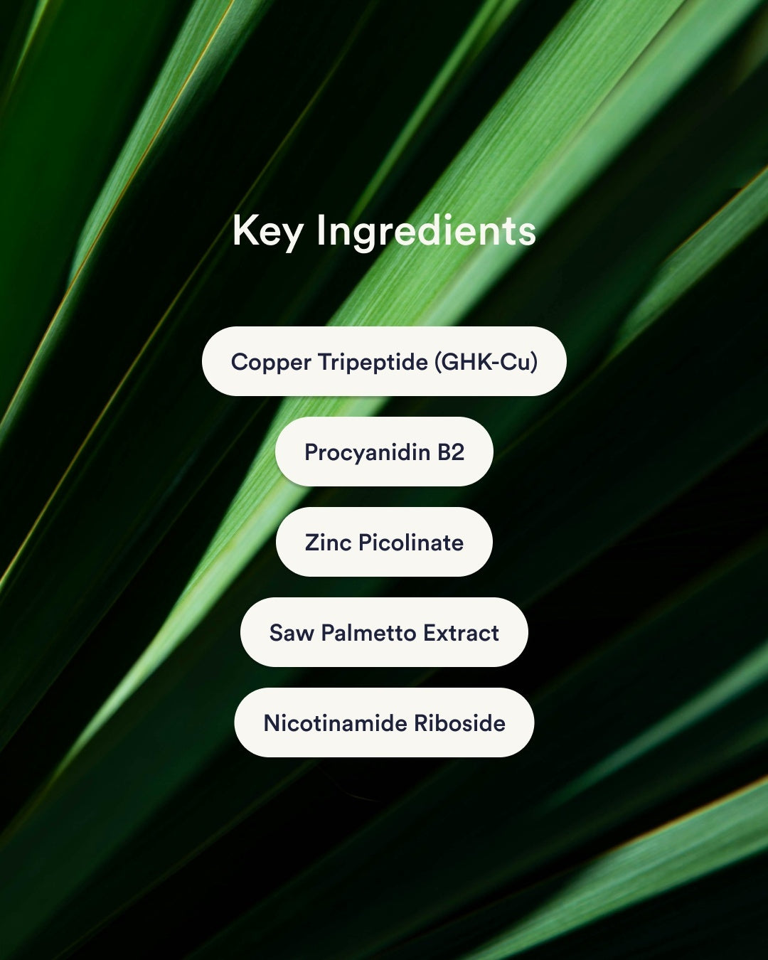 Hair Support Patches